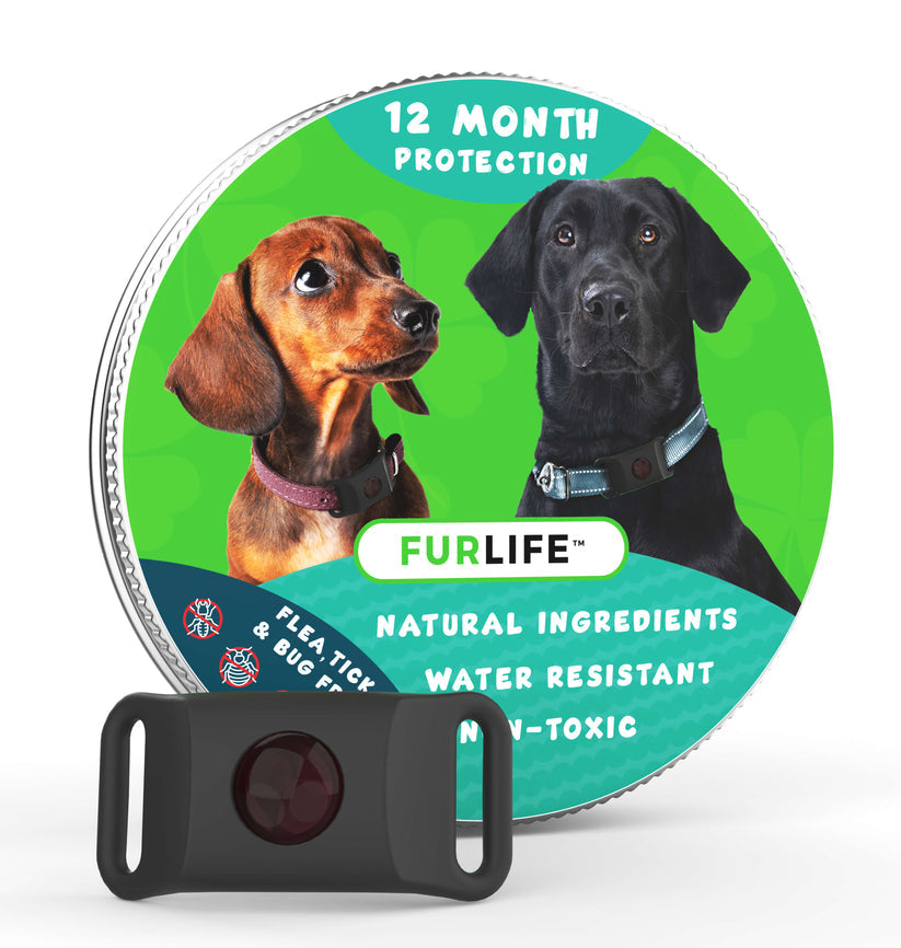 FurLife™🐕🌿 12 meses libre de pulgas y garrapatas