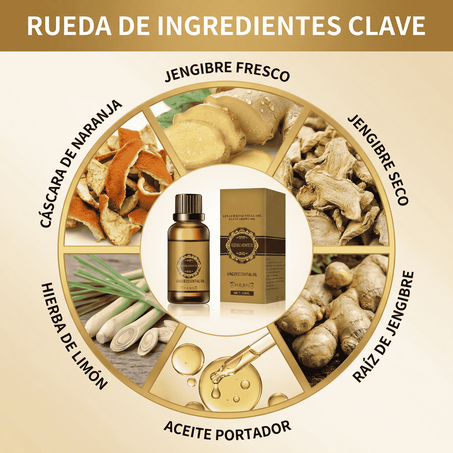 BURN® - Aceite Quemador De Grasa - Reafirmante - Drenaje Linfático