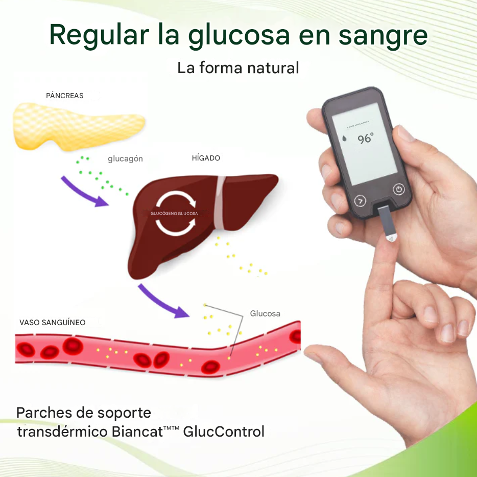 👨⚕️Paga 10 Lleva 30👨⚕️Parches de soporte transdérmico para el control de la glucosa