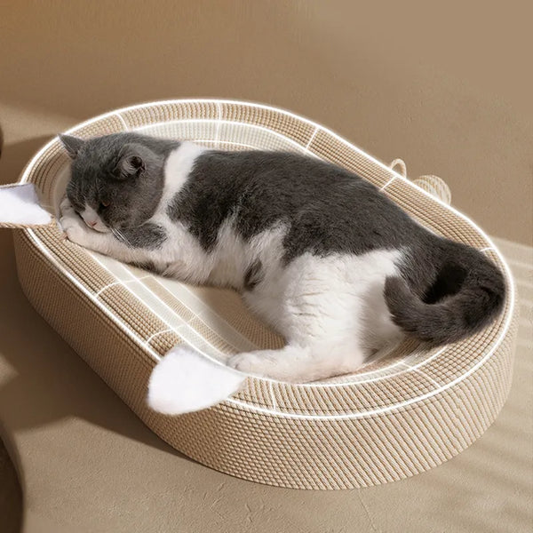 🐈 Rascador y cama para gatos 🐈