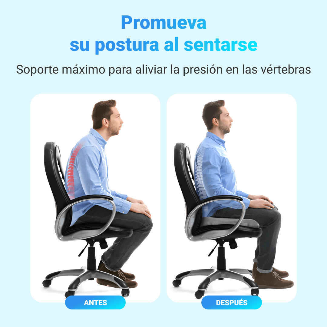 Egg Seater - Cojín ortopédico para el dolor de nervio ciático