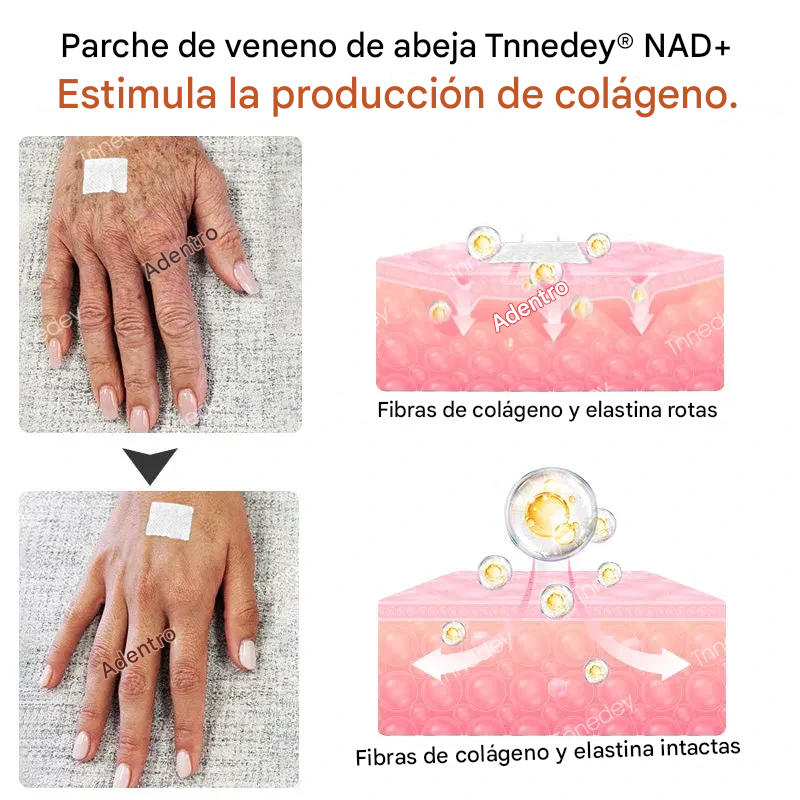 Tnnedey® - Parche de veneno de abeja rejuvenecimiento de la piel y aumento de energía