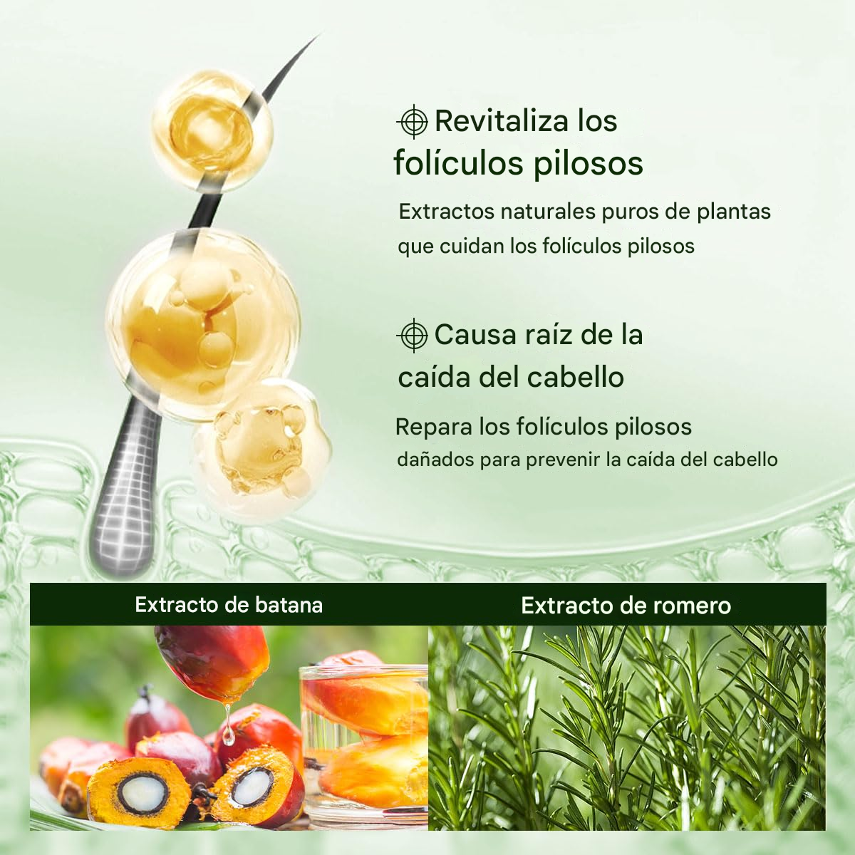 Shampoo De Aceite De Batana Para Crecimiento Del Cabello