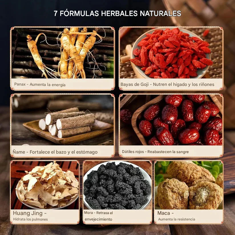 Panax & Mulberry - Té de hierbas de Panax y morera