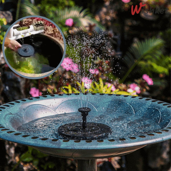 AquaFlare™ - Fuente De Agua Solar Para Aves