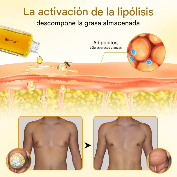 ¡PAGA 1 LLEVA 2 ThermoFirm™! - Aceite para ginecomastia con veneno de abeja