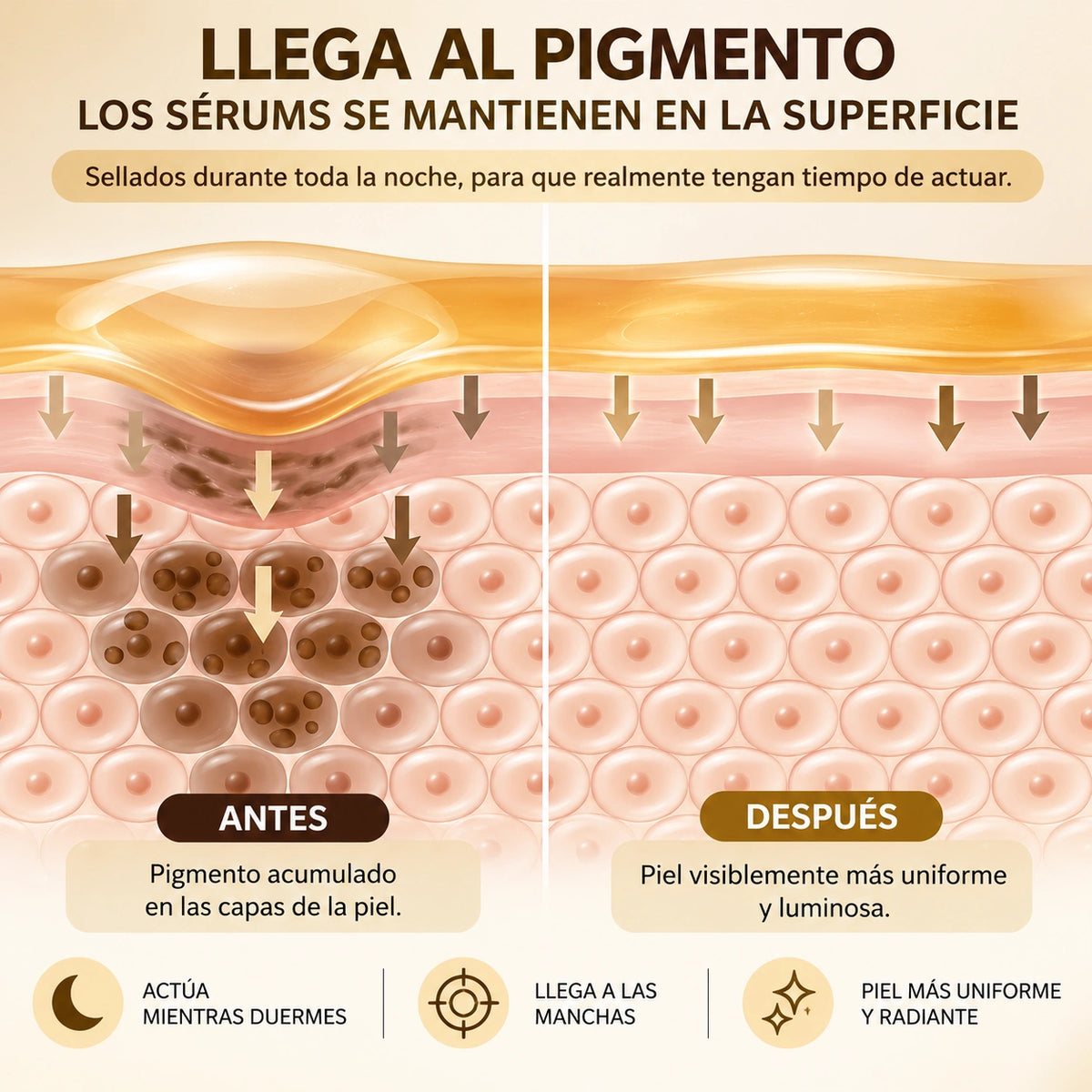 Mascarilla Nocturna De Cúrcuma Y Ácido Kójico De Quia