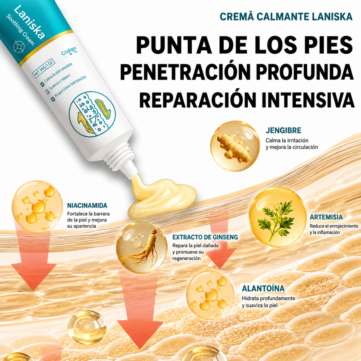 Gel Contra Las Varices Y La Hinchazón De Piernas