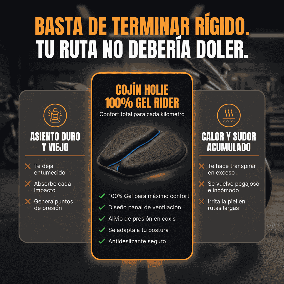 Cojín Holie 100% Gel Rider