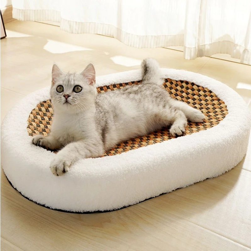 ScratchLounge🐈🛏️ Cama de felpa lujosa para gatos con superficie rascable