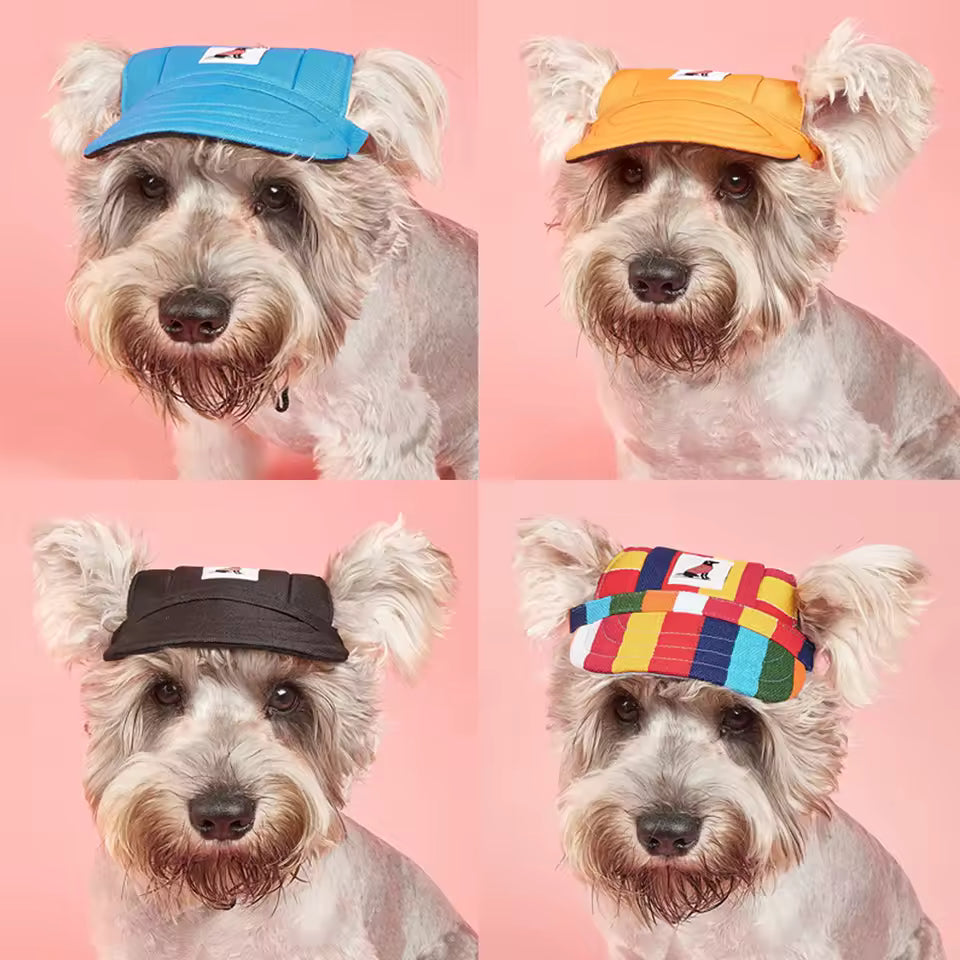 🧢Gorra Para Mascotas🐶