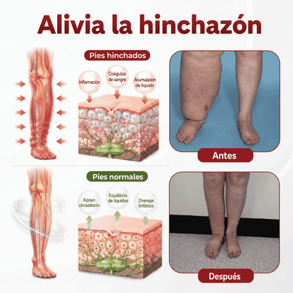 SwellVeil - Crema para la circulación de piernas