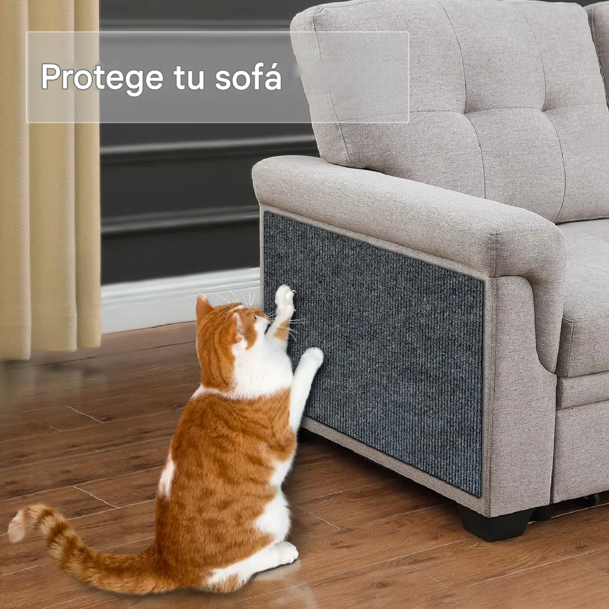 🐾 ScratchSafe™ - Tapete Rascador Elegante