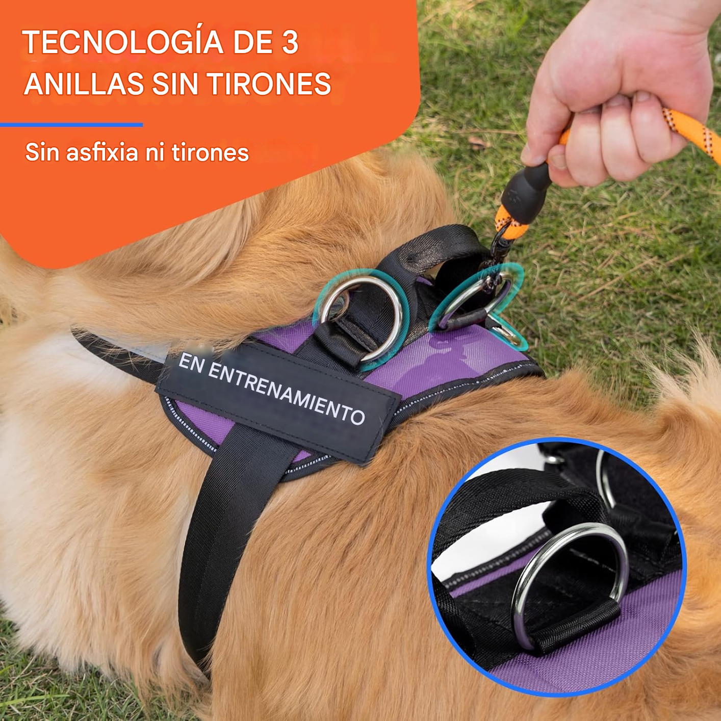 Arnés Para Perros Reflectante Antideslizante Y Antitirones