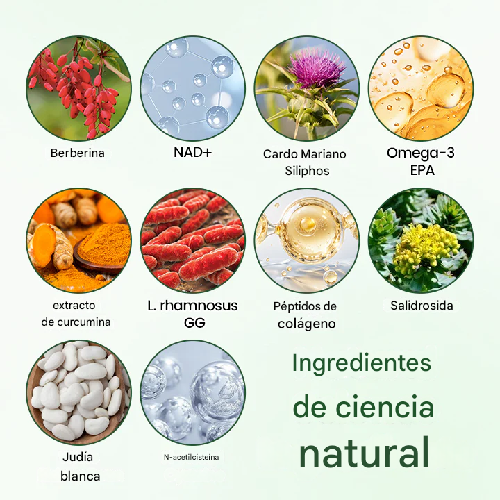 Parche De Microagujas Timilk® Moringa · Berberina + NAD+ 10 en 1 - (Pack x30)
