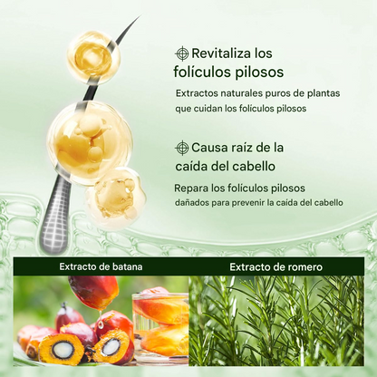 Shampoo De Aceite De Batana Para Crecimiento Del Cabello