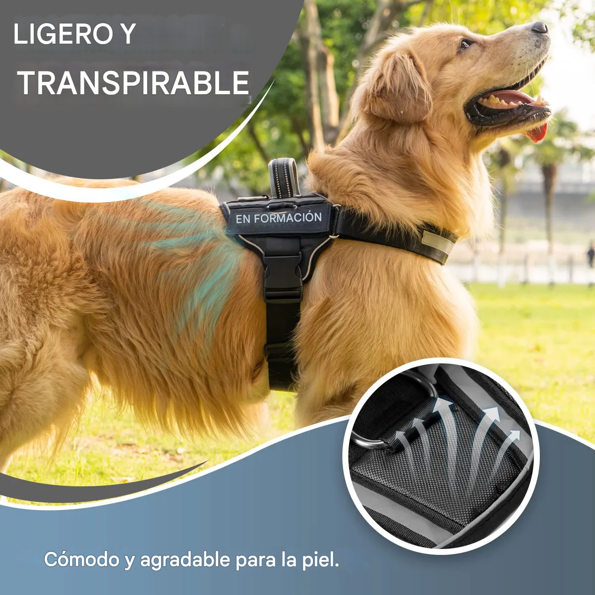 Arnés Para Perros Reflectante Antideslizante Y Antitirones