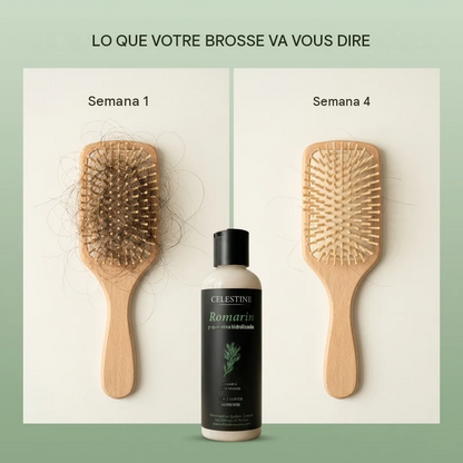 Celestine - Shampoo De Romero Y Queratina