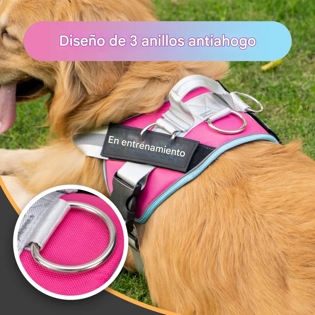 Arnés Para Perros Reflectante Antideslizante Y Antitirones