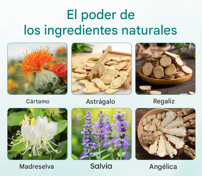 Pack x 24 parches para varices - LegRenew