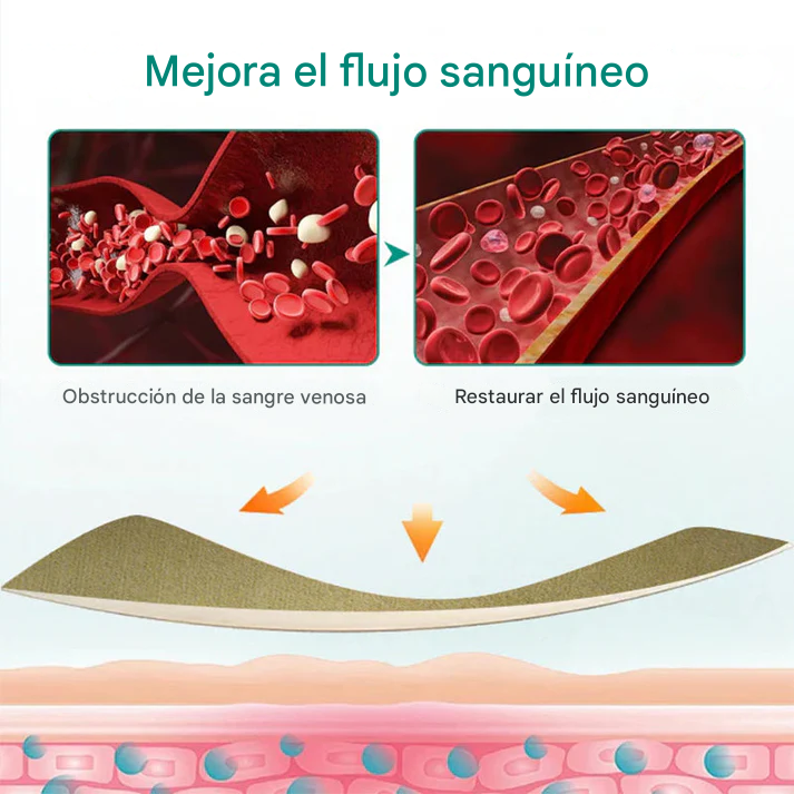 ✨Parche Para Venas Varicosas LOVILDS™ Leech (8 pcs)✨