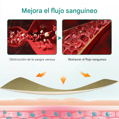 ✨Parche Para Venas Varicosas LOVILDS™ Leech (8 pcs)✨