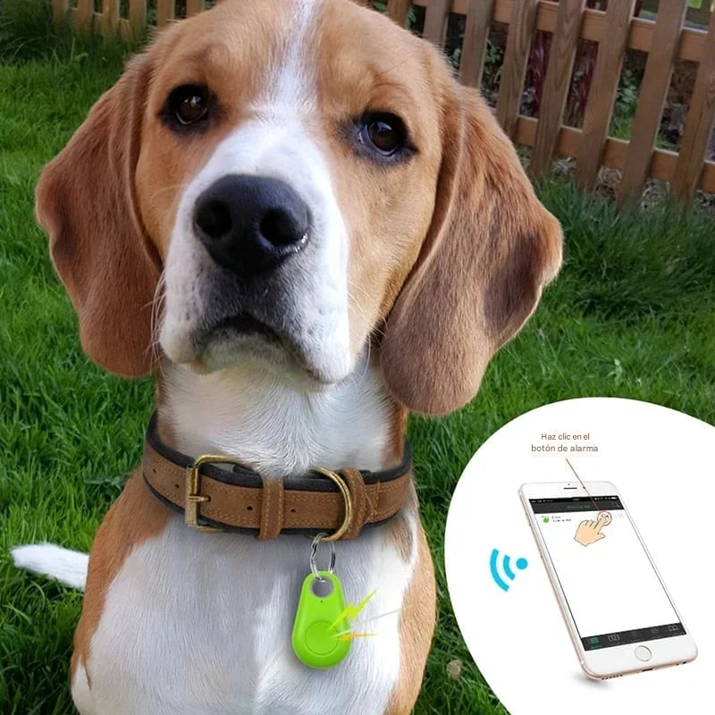 🔥Localizador GPS De Seguimiento Inteligente