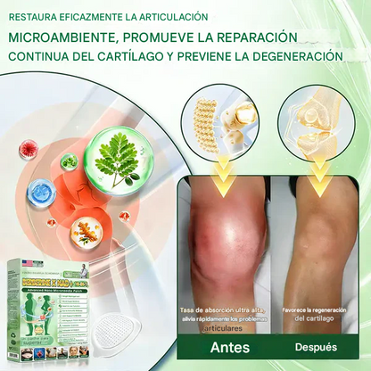 🧑‍⚕️🩺 Paquete De Parches De Moringa de Nino Advanced —𝐑𝐞𝐬𝐮𝐥𝐭ados𝐬 en 𝟕 𝐃ia𝐬 (Pack x30)