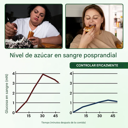 Parche De Microagujas Timilk® Moringa · Berberina + NAD+ 10 en 1 - (Pack x30)